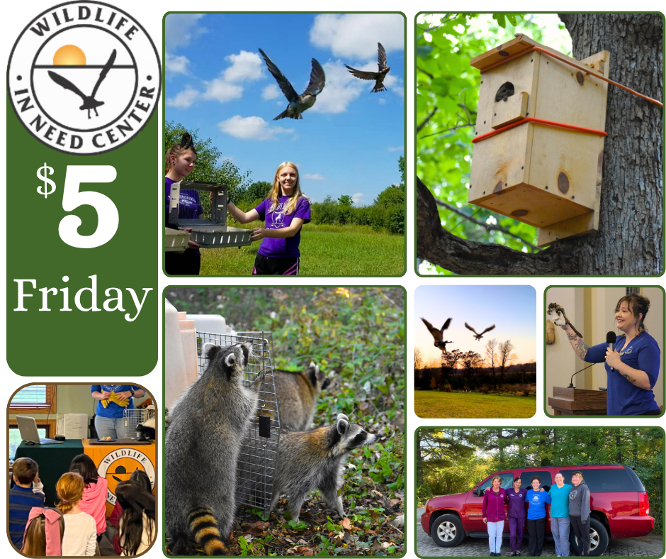$5 Friday: Keep the WINC Mobile Rolling!  image