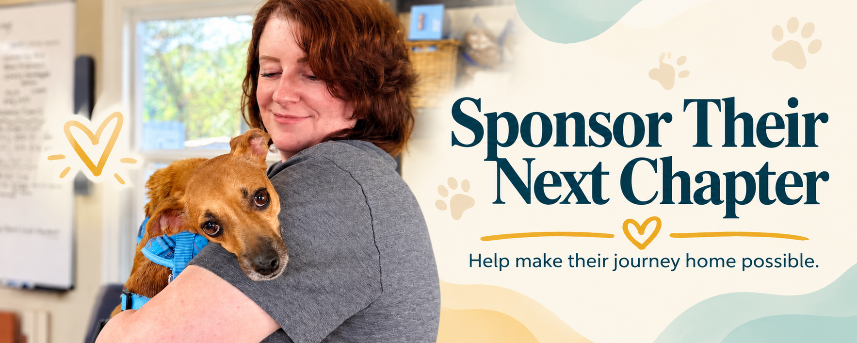 Sponsor An Adoption image