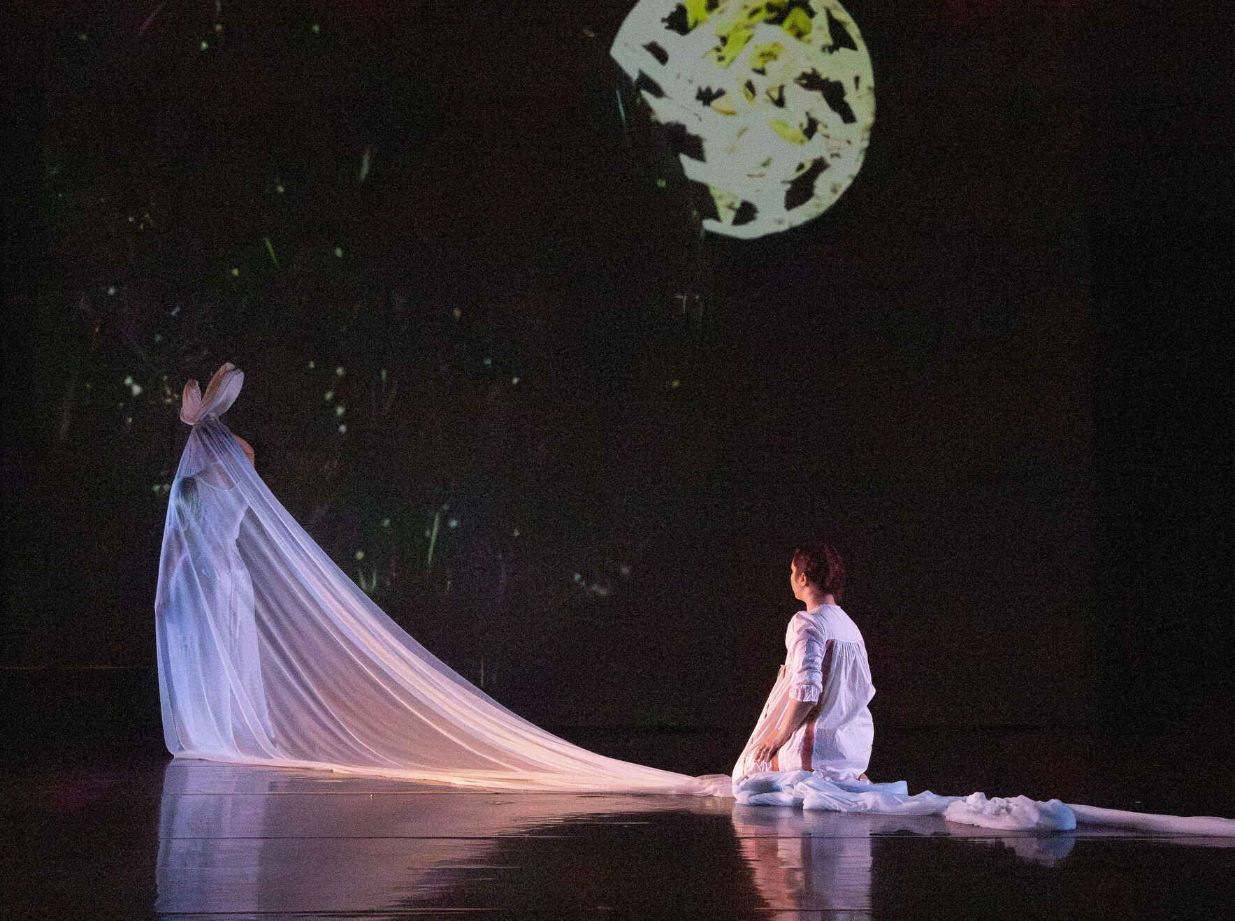 Support Hedwig Dances' New Dynamic Season  image