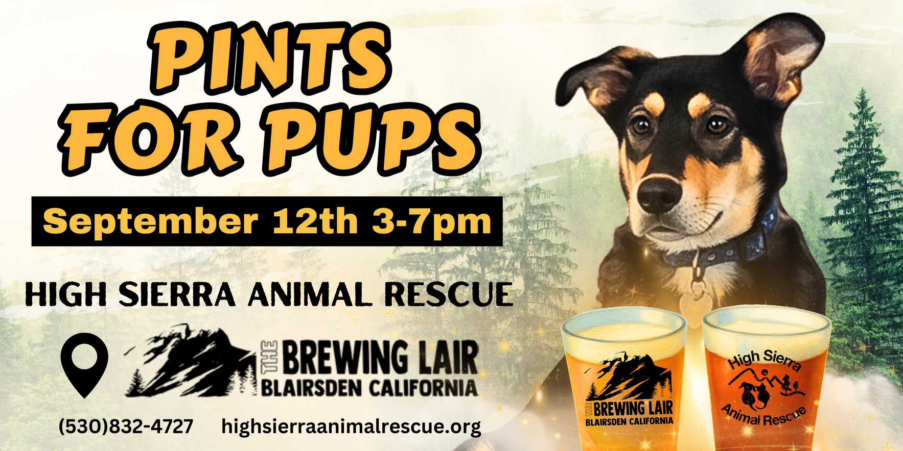 Pints for Pups - Brewing Lair Fundraiser 2026 image