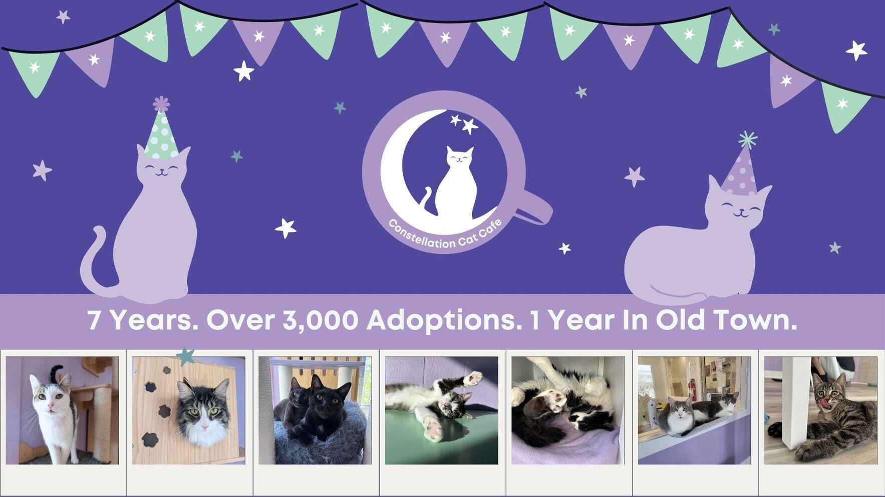 Celebrate 7 years of CCC! image