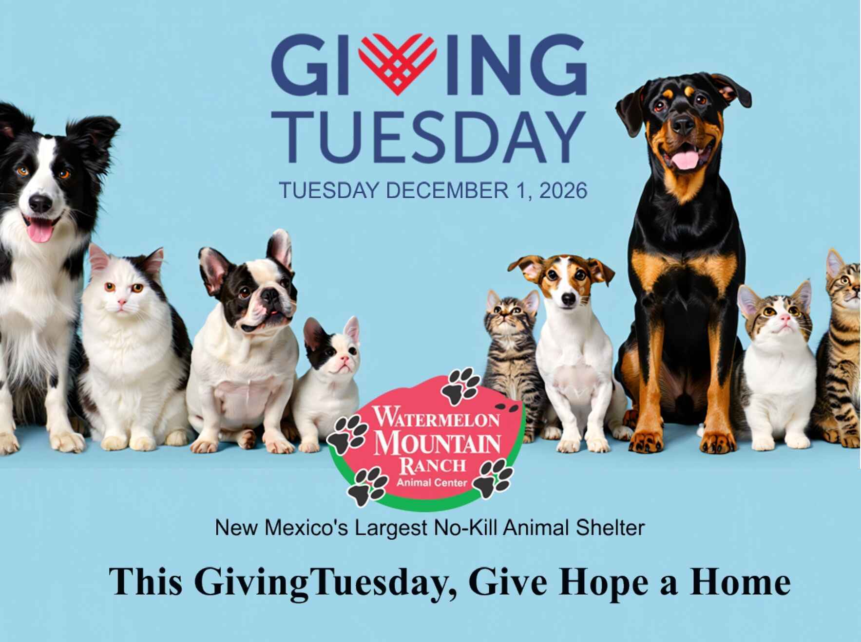 ​This GivingTuesday, Give Hope a Home   image