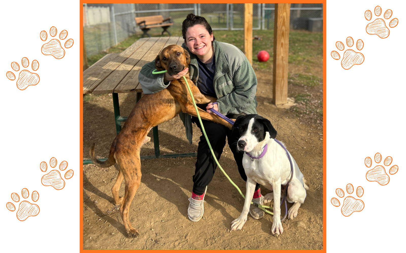 Halee Vogt Memorial Canine Behavior and Enrichment Fund image