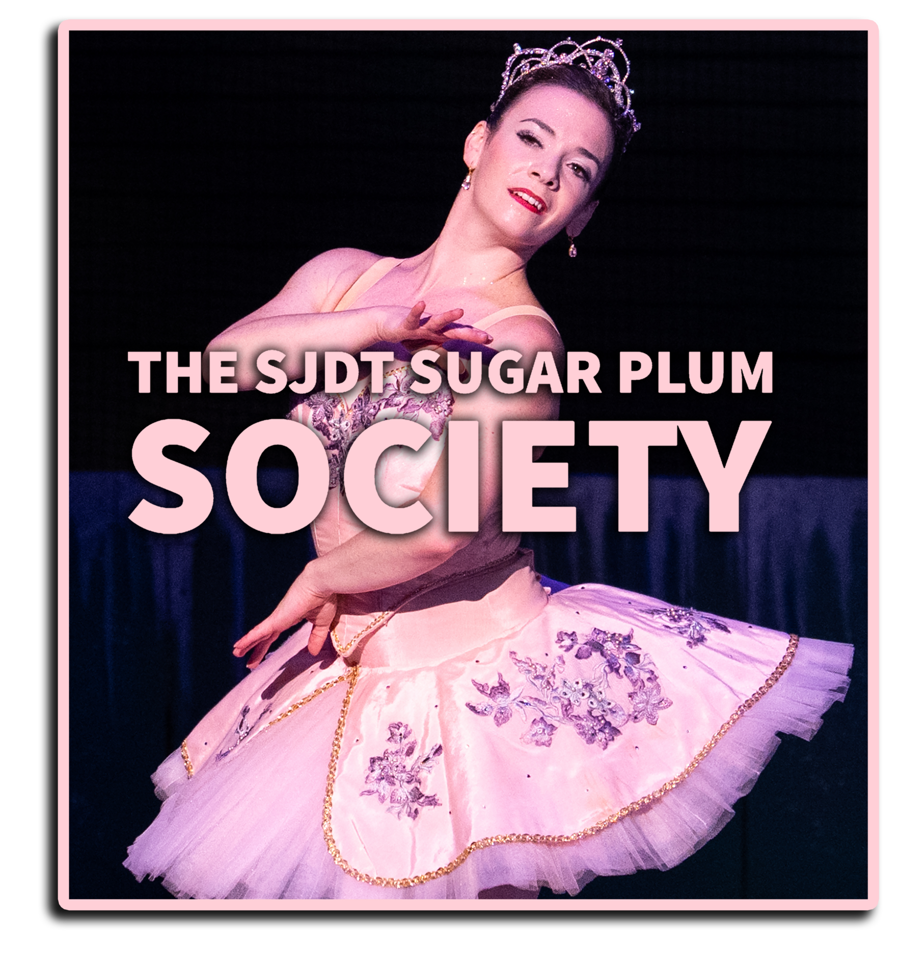 Join the SJDT Sugar Plum Society today!  image
