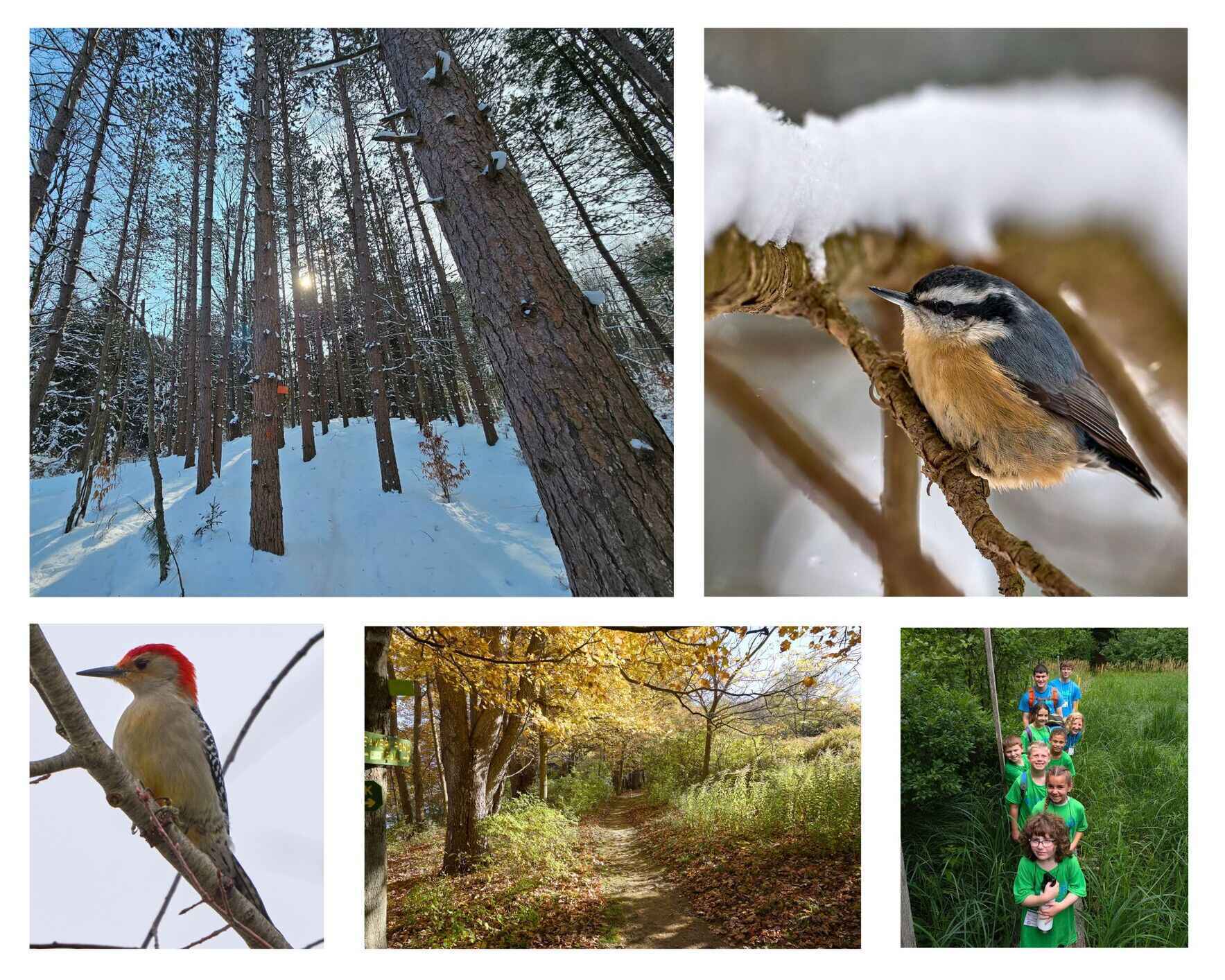 For the birds. For the trails. For tomorrow. image