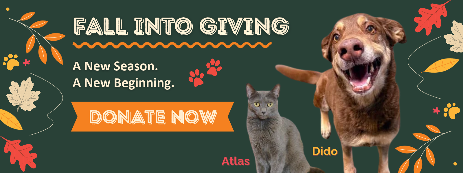 Fall Into Giving - A New Season. A New Beginning.  image
