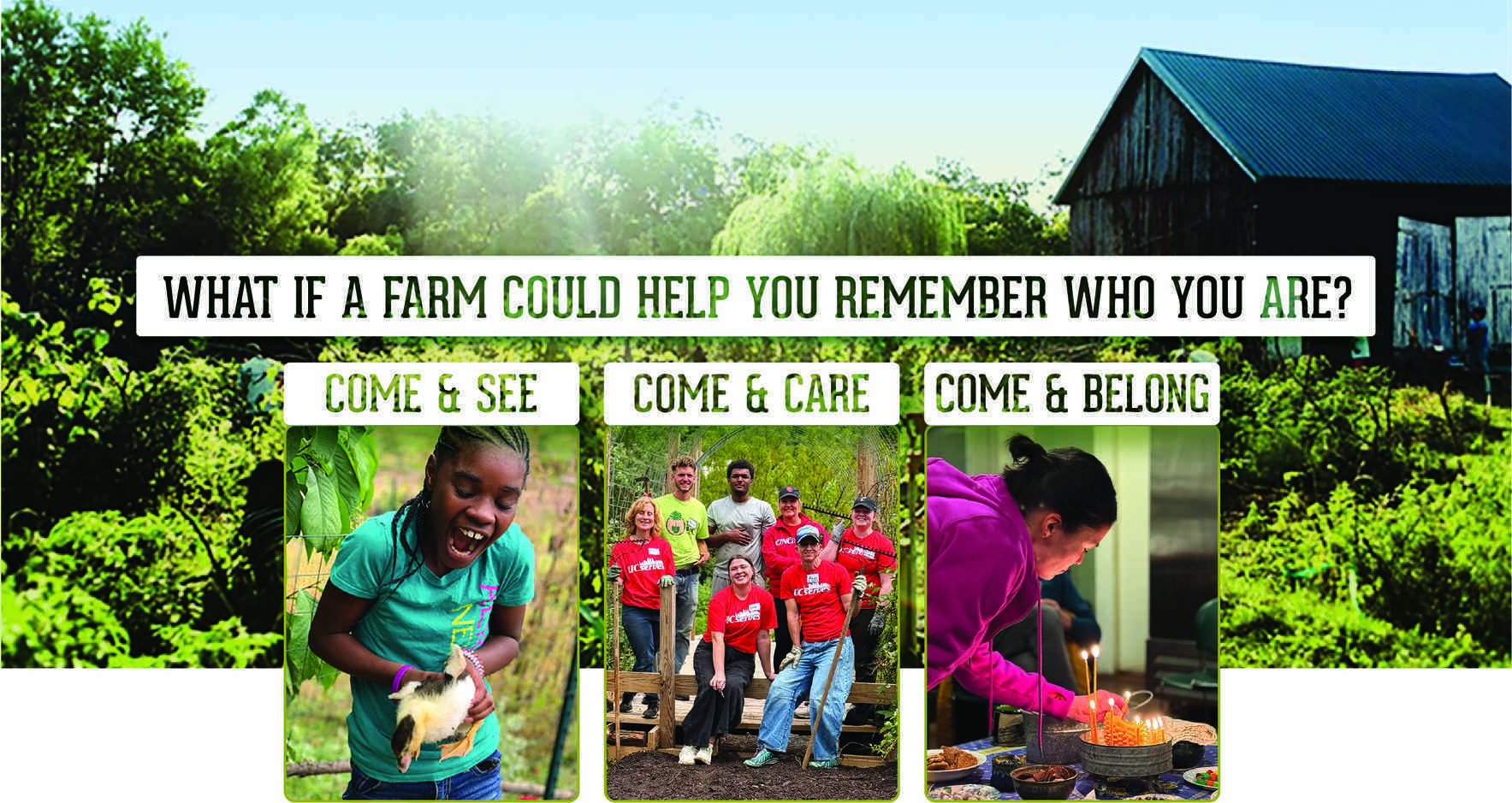 What If A Farm Could Help You Remember Who You Are? image