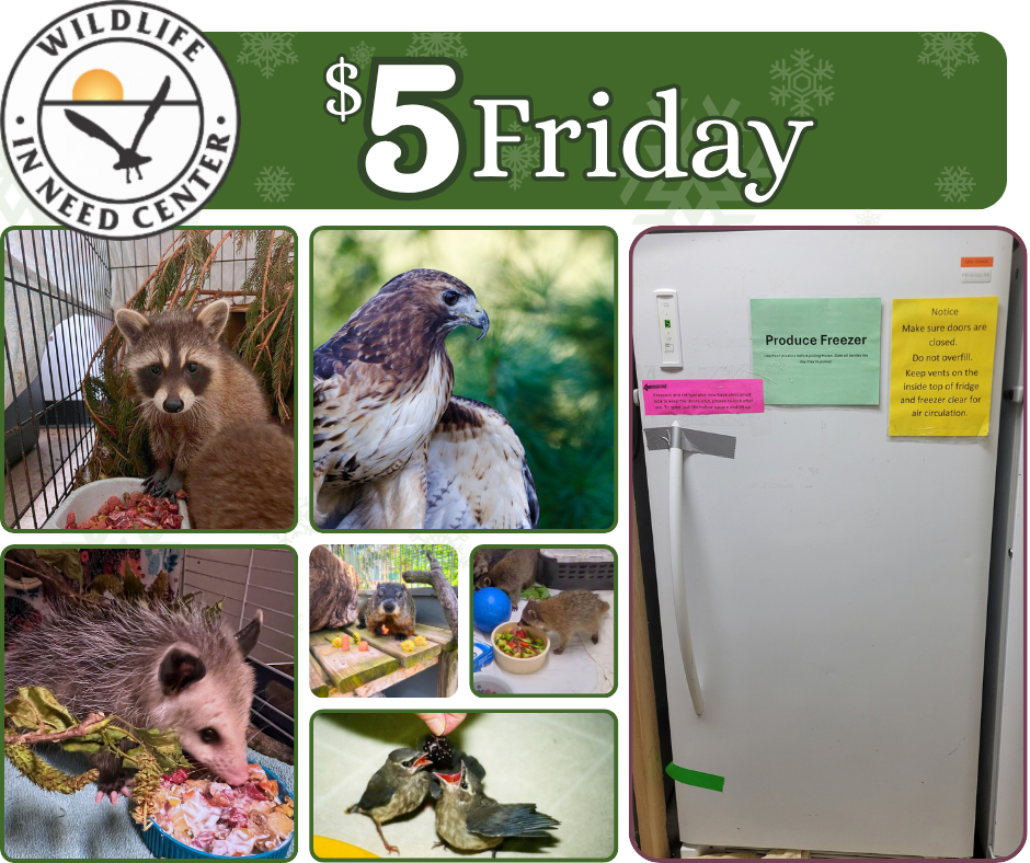 $5 Friday: Help Us Purchase Freezers and a Refrigerator  image