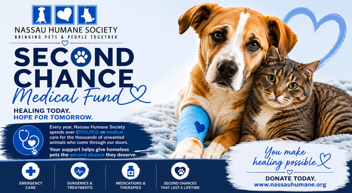 Help ensure no animal suffers because medical care is out of reach. image