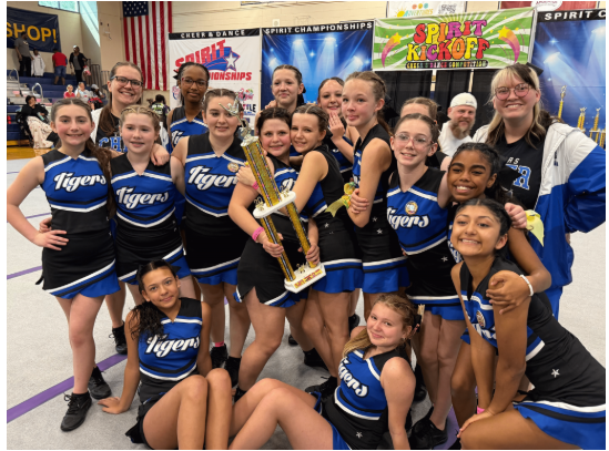 Tiger Cheer Squad image