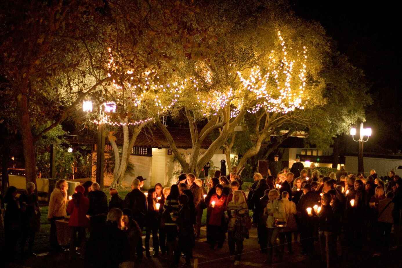 "...these lights shine in honor of those we love." image