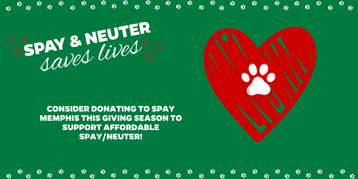 Donate now to support Spay Memphis this holiday season! image