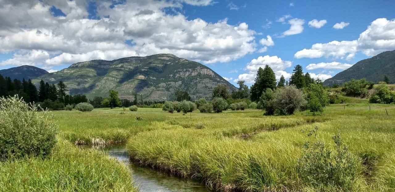 Flathead River to Lake Conservation Fund image