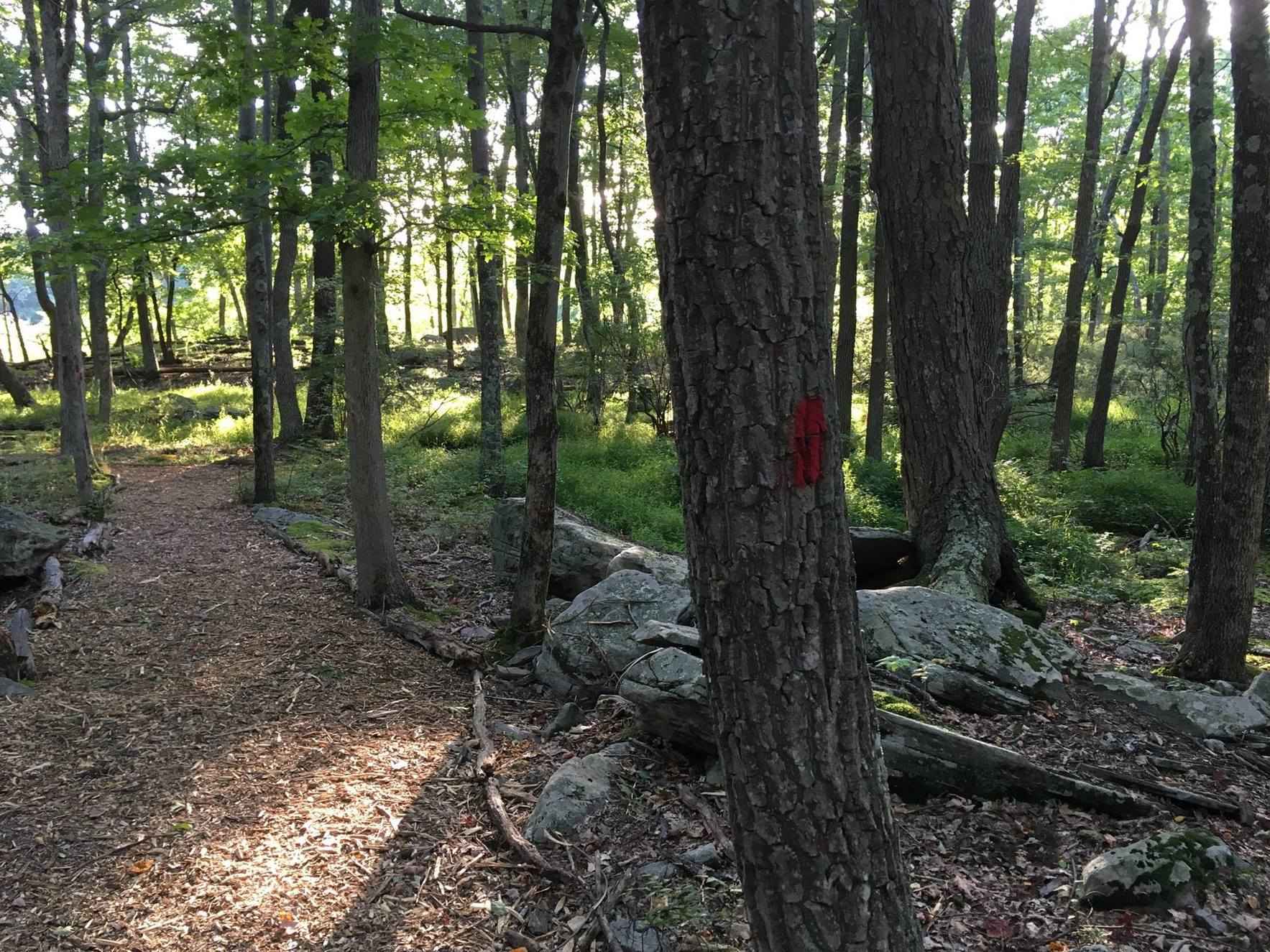 Hemlock Farms Conservancy Hemlock Farms Conservancy