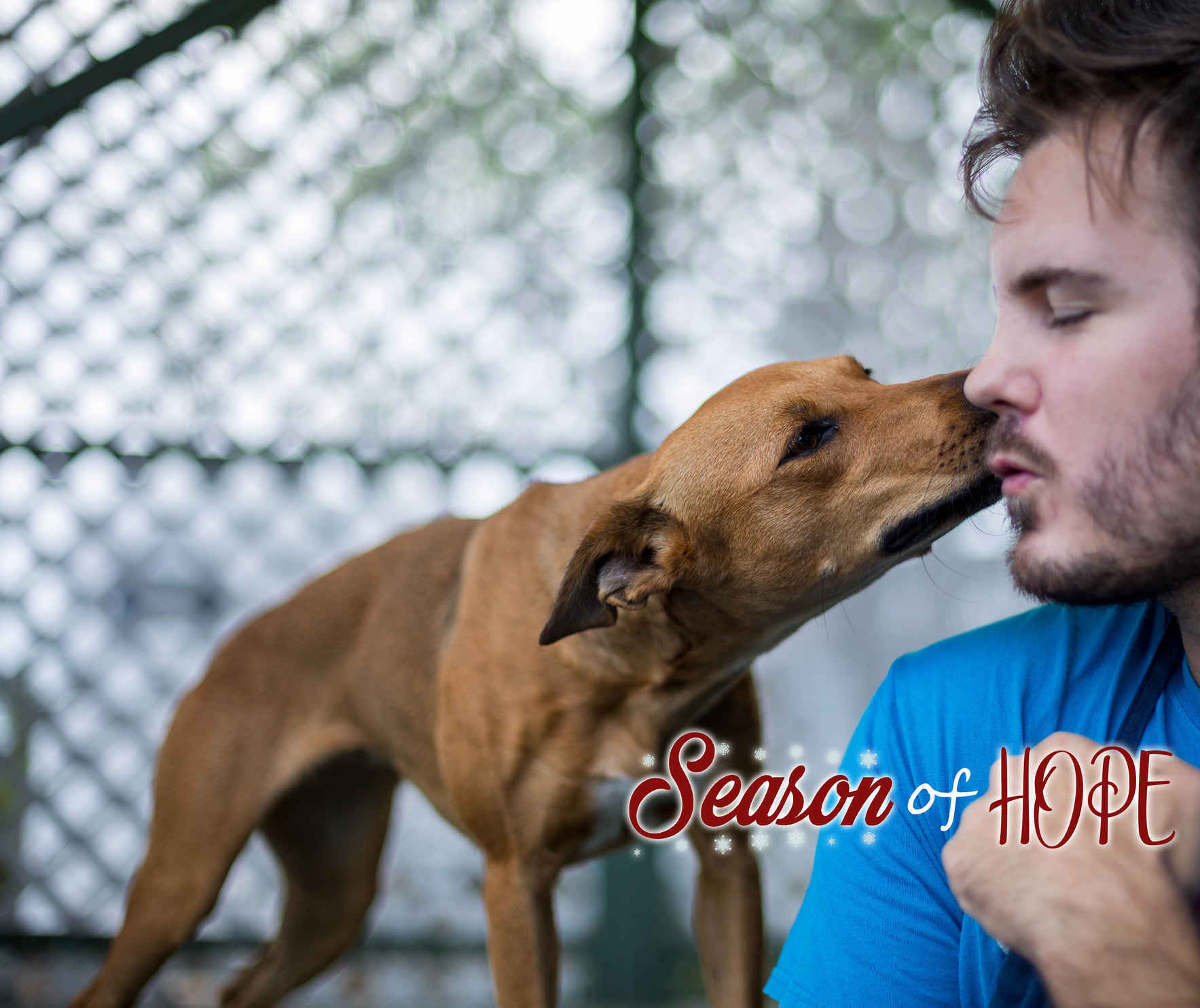 Hawaii Island Humane Society - Season of Hope Campaign