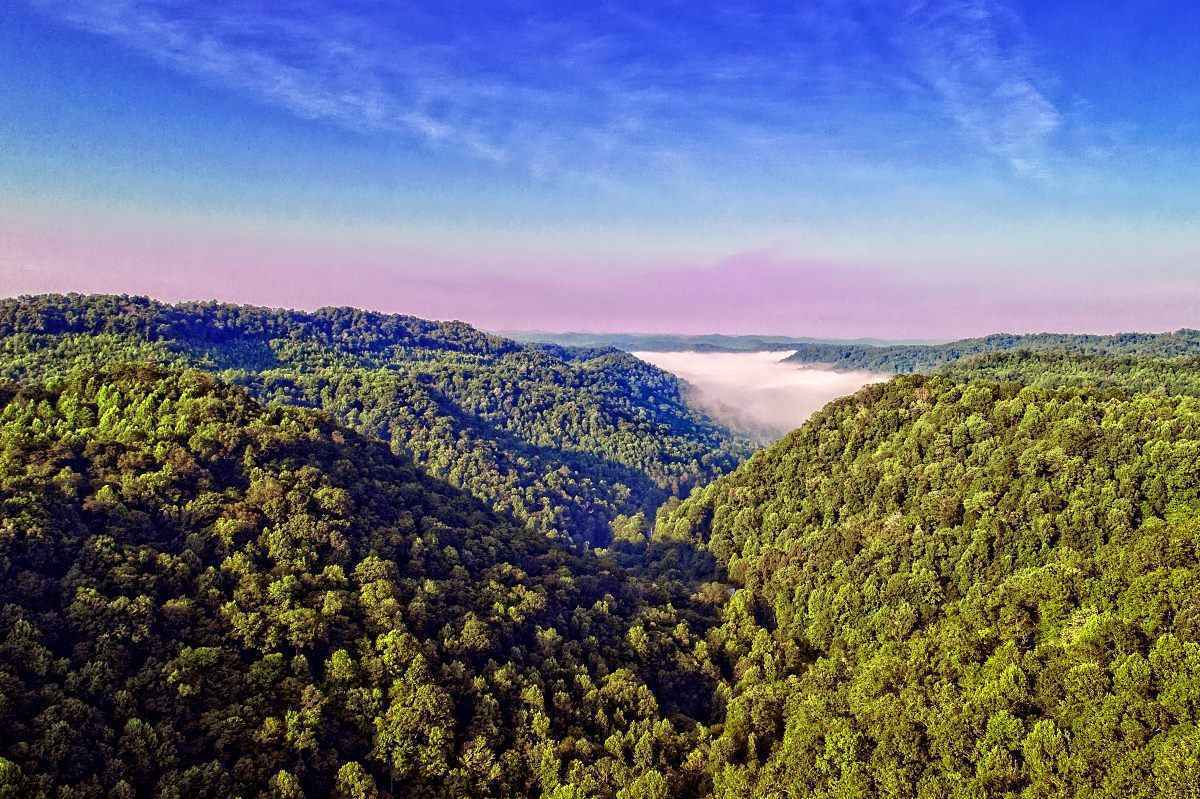 Letcher County Culture Hub image