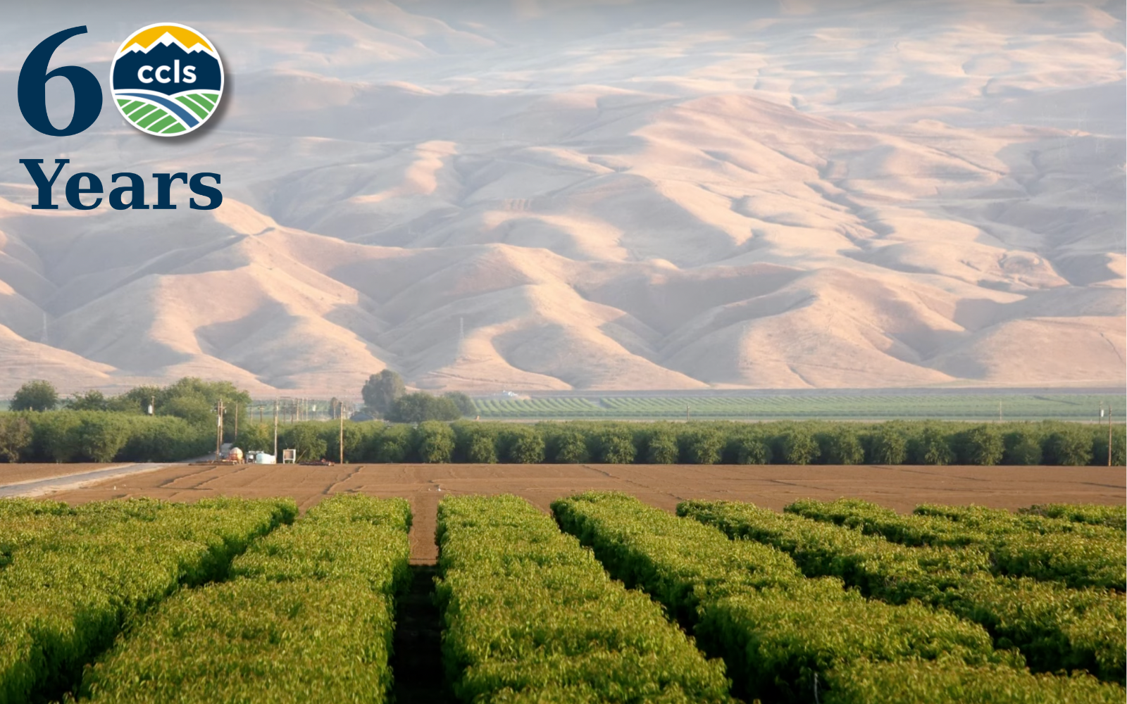 60 Years of Impact. 60 Years of Justice! image