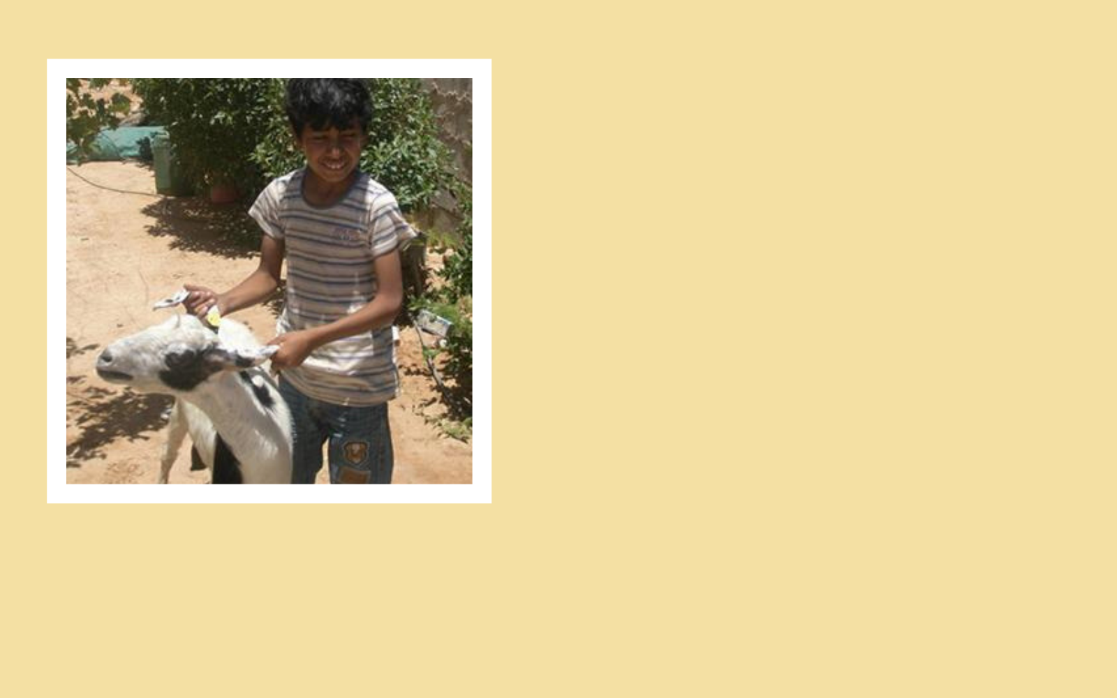 I'll bring help and hope to the Goat Loan Program image