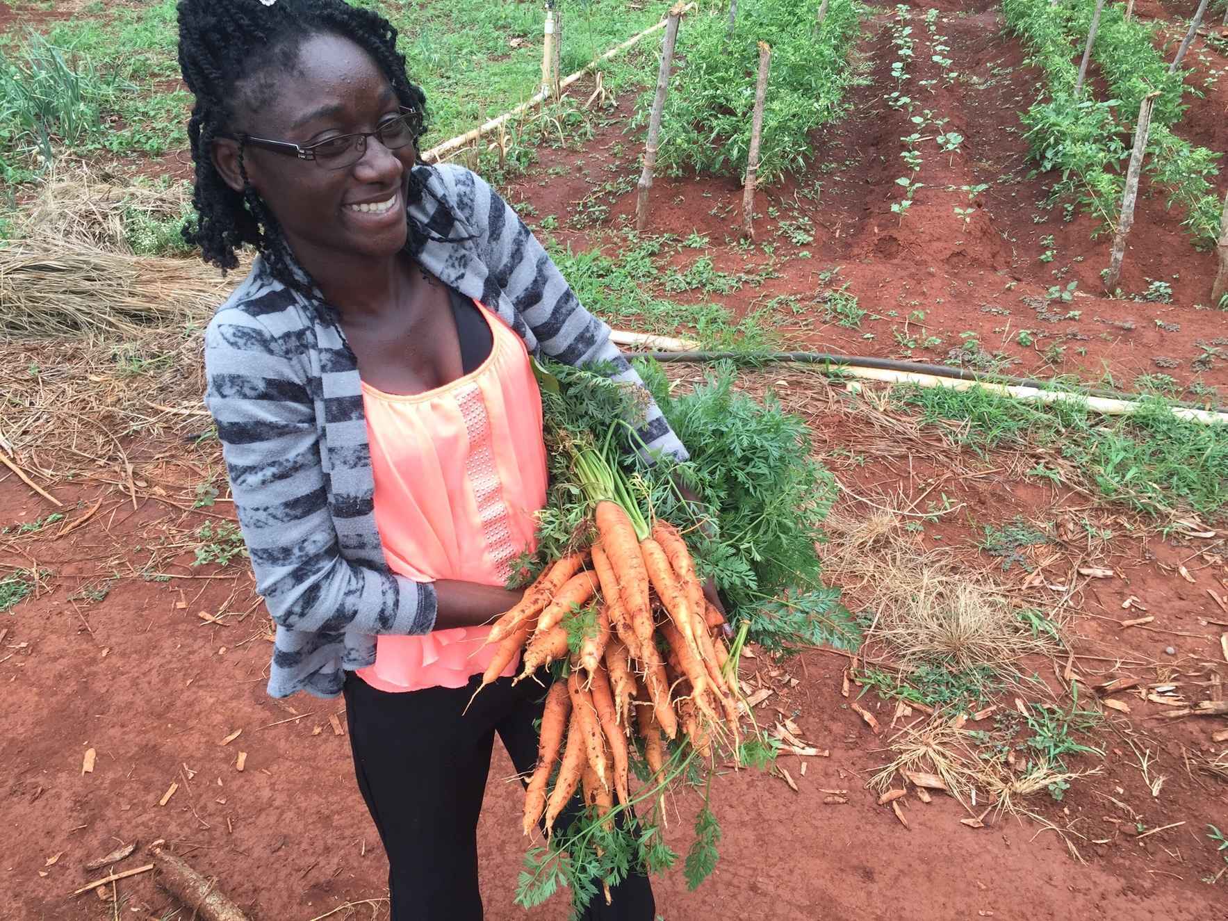 Donate now and help train young Jamaicans in Organic Agriculture image