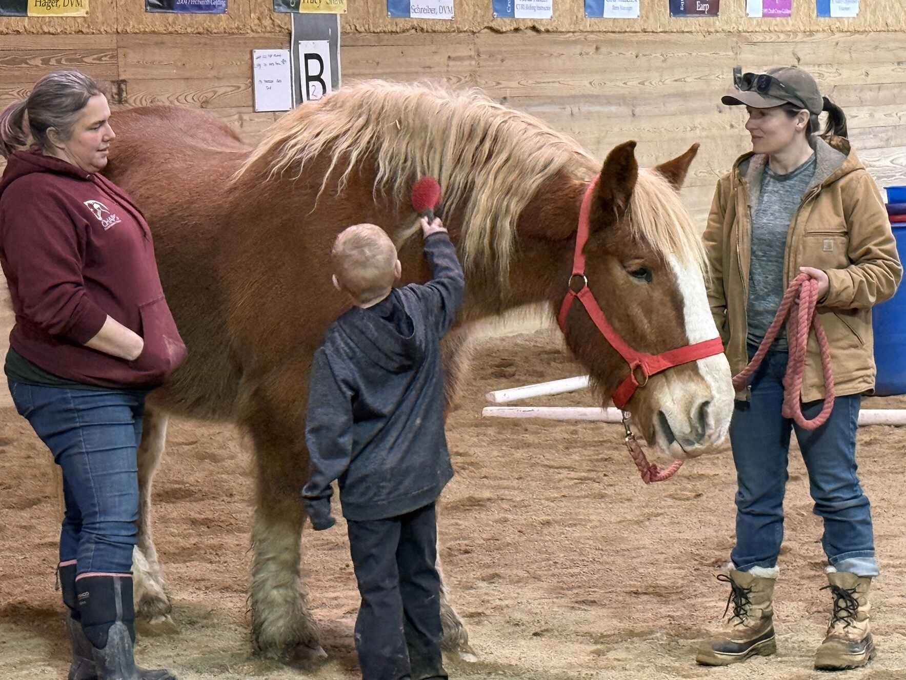 Give the gift of growth, healing and hope! image