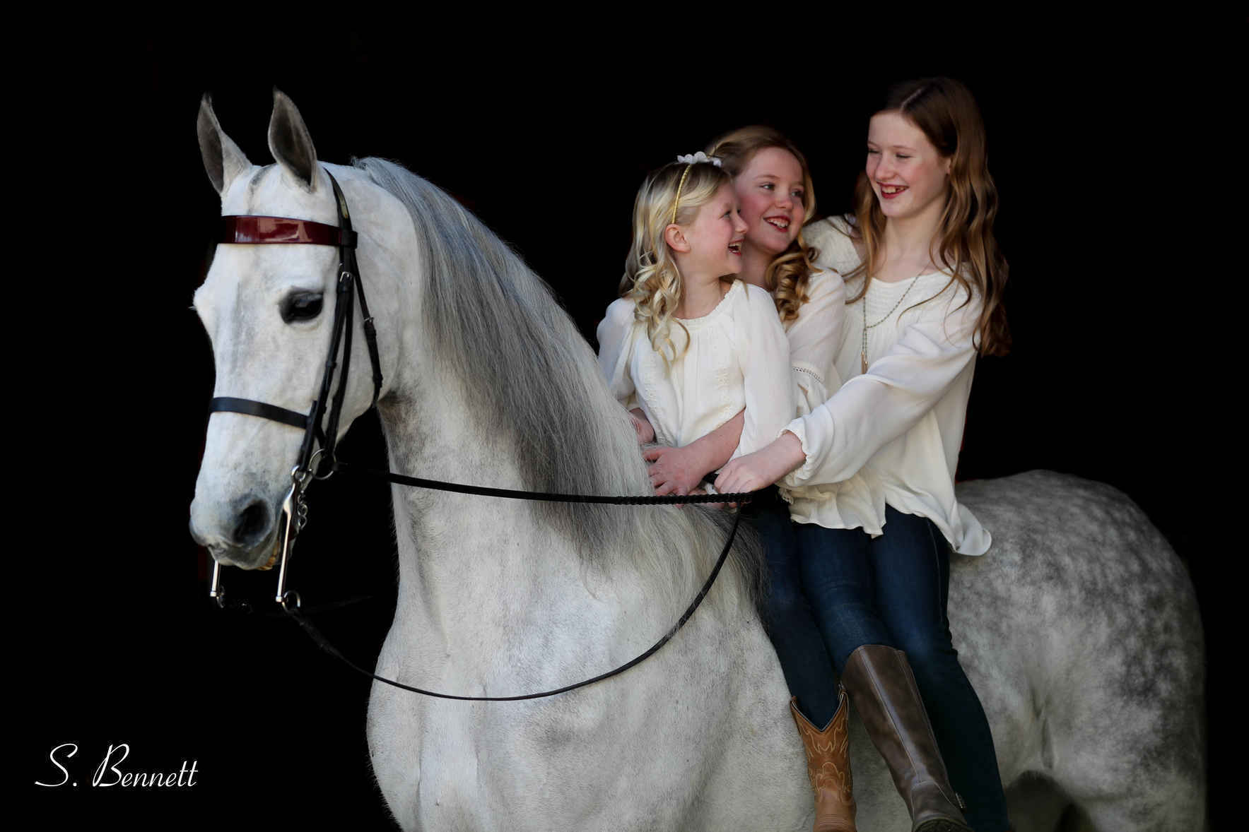 American Saddlebred Horse Association Foundation, Inc. ASBDreams Fund