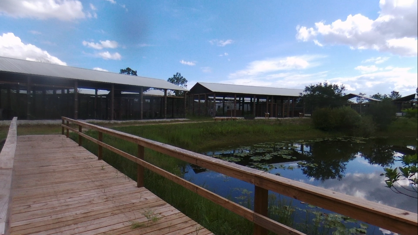 Give over the course of the year to maximize impact! image