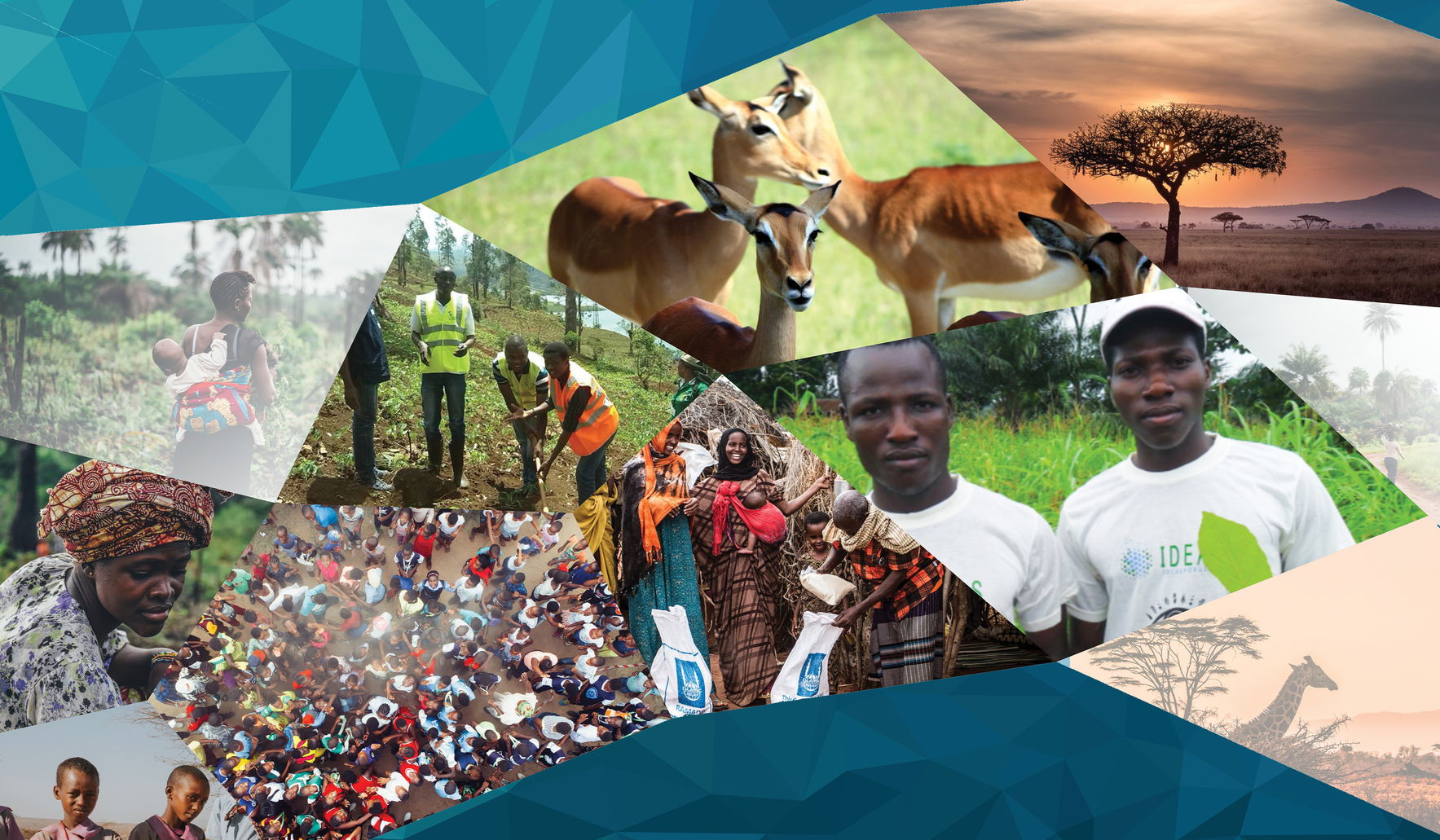 Support Environmental Action in the Democratic Republic of the Congo image