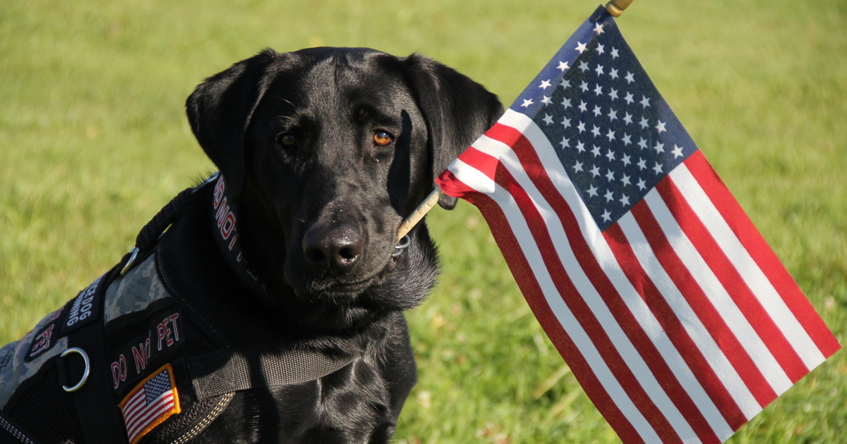 Retrieving Freedom - Starline Brass Giveaway!