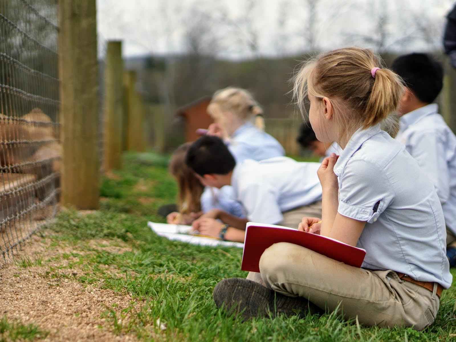 Ambleside School The Ambleside Fund 20192020