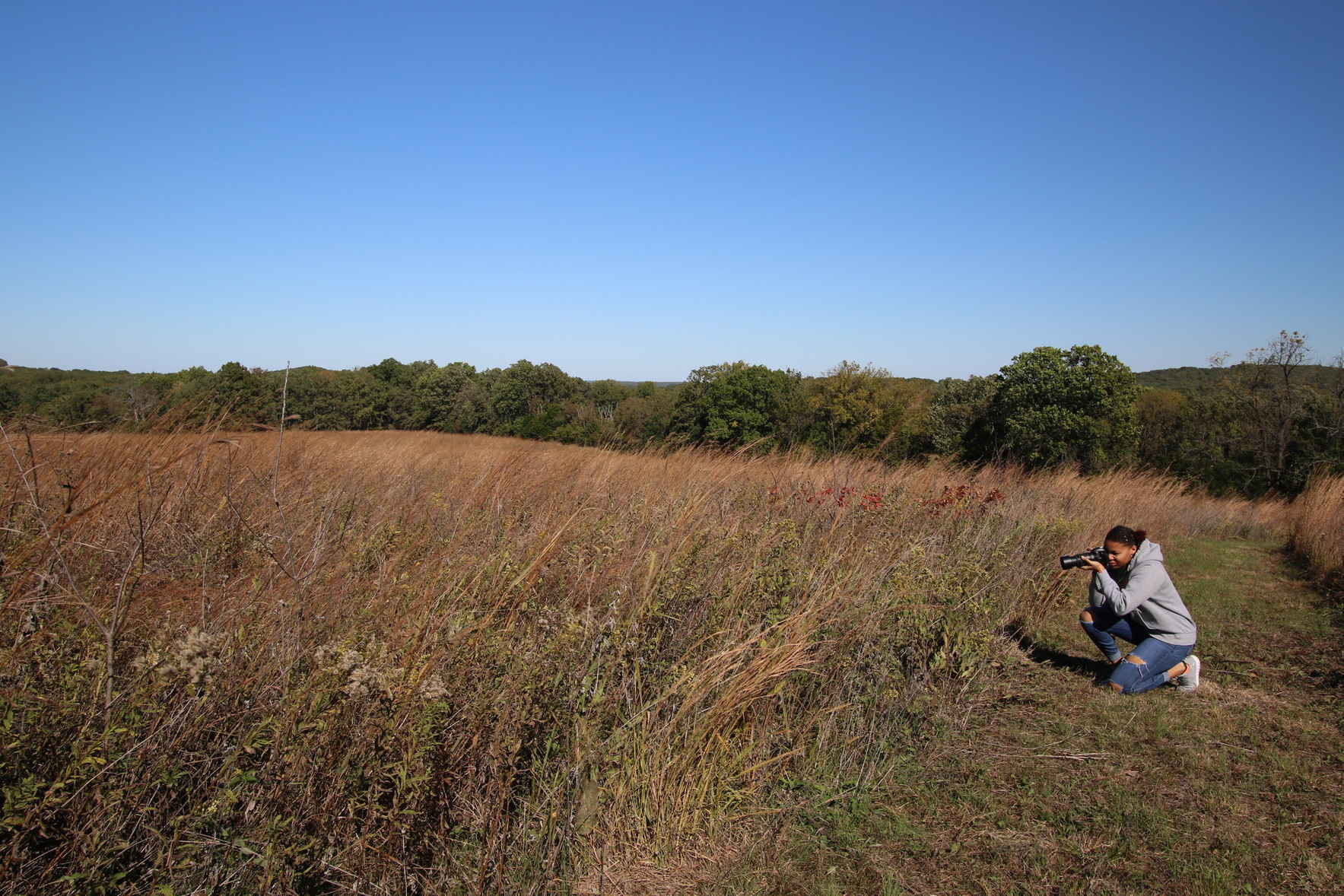 Peace in the Prairie image