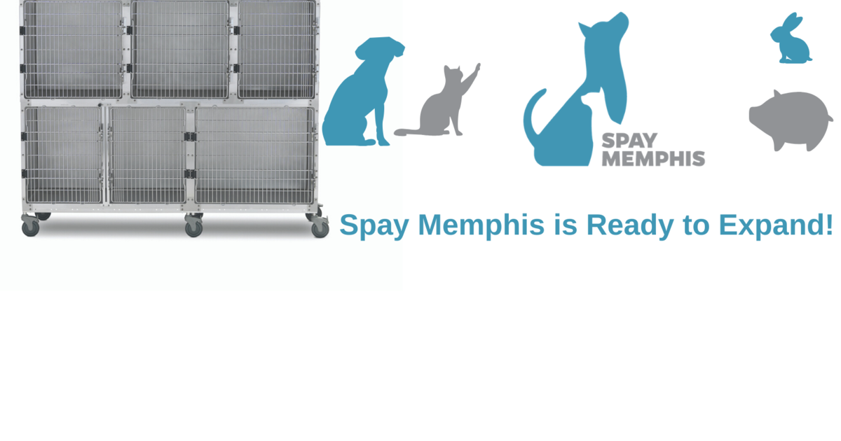 Spay Memphis New Kennels Fund