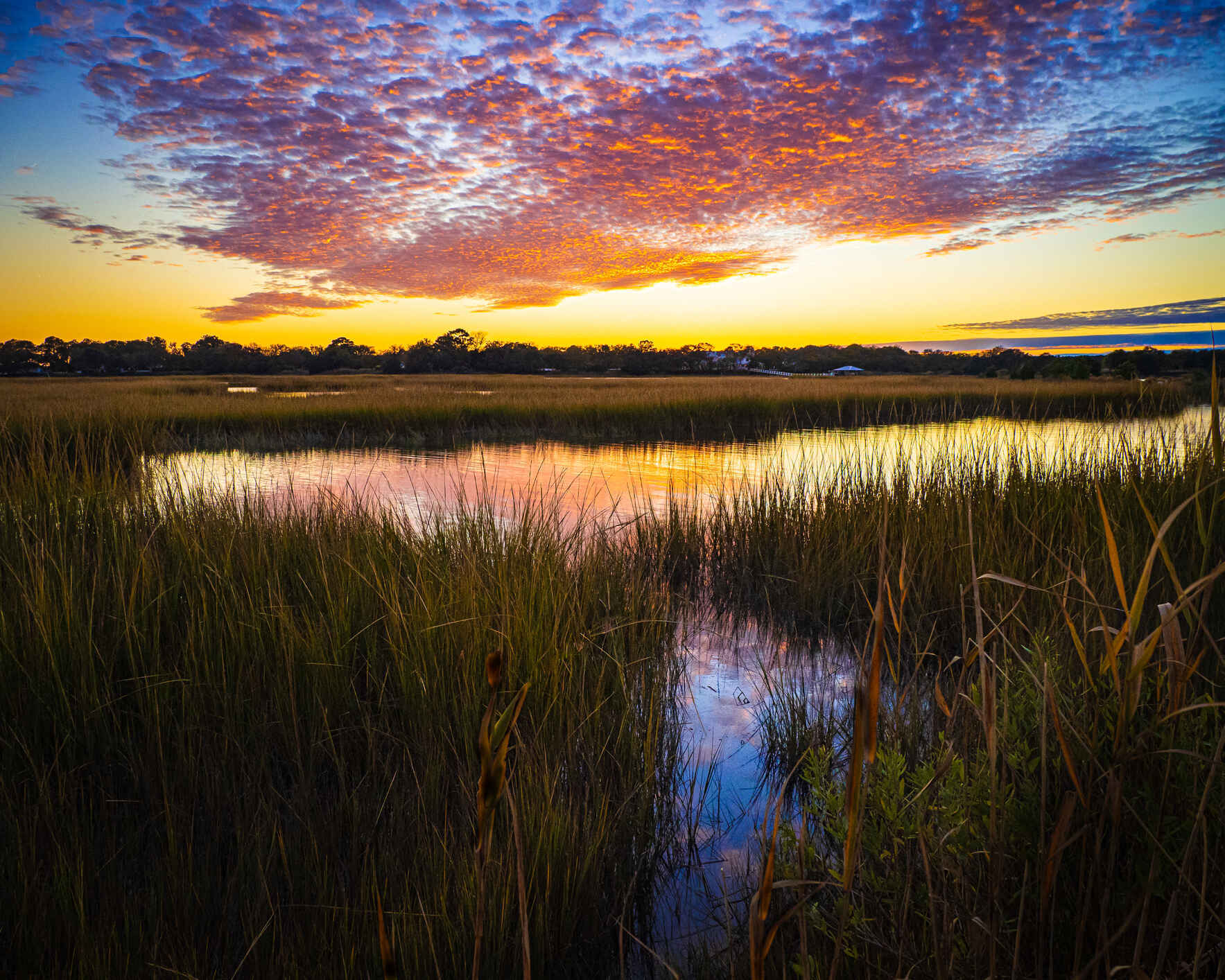 Donate to LRNow image