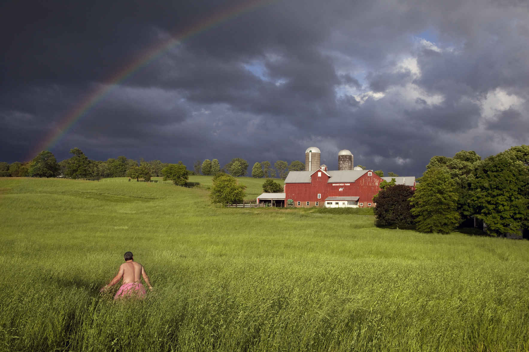 Announcing TUTU, a stunning book of Bob's Images.  image