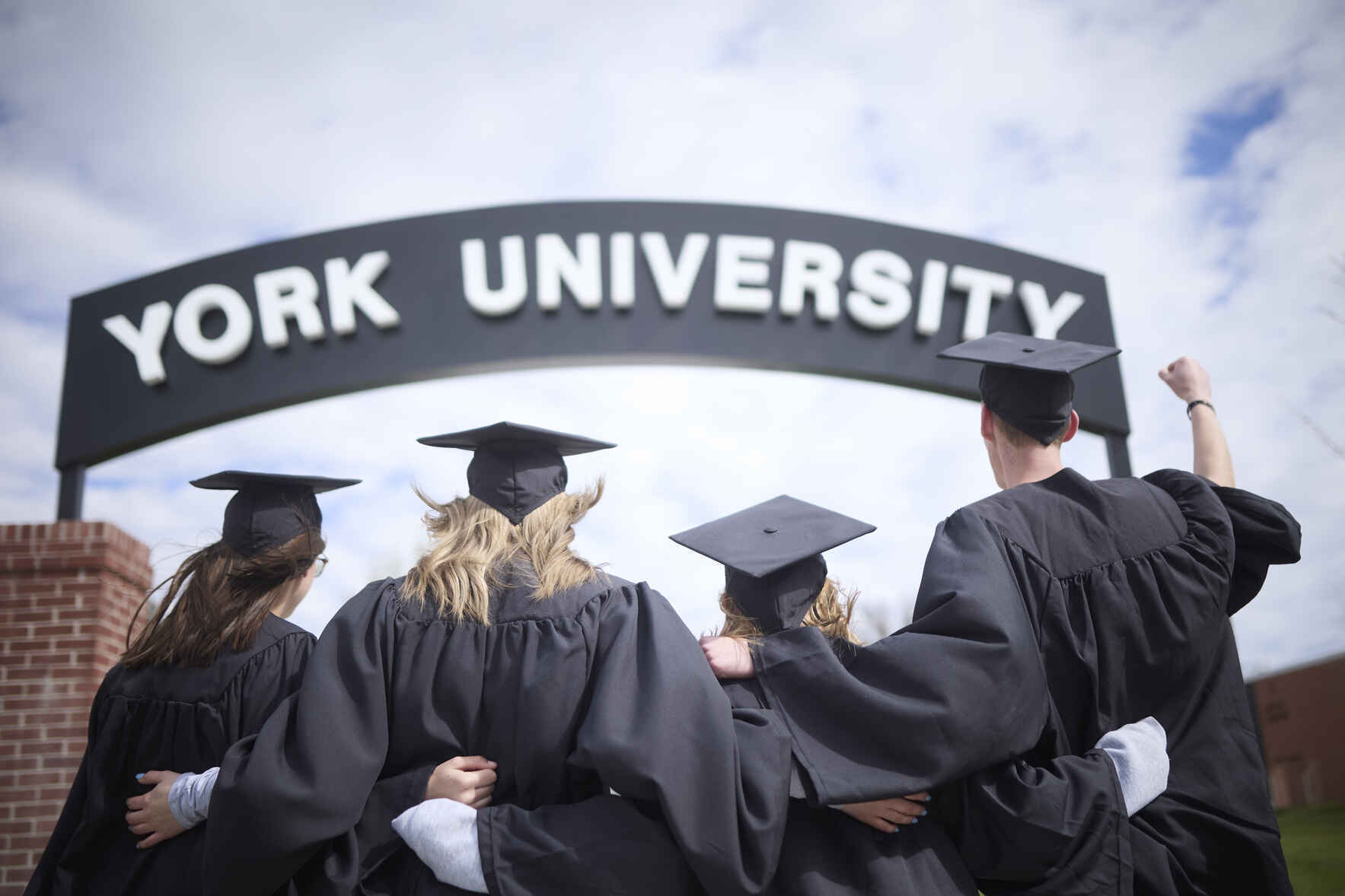 York University Scholarship Fund image