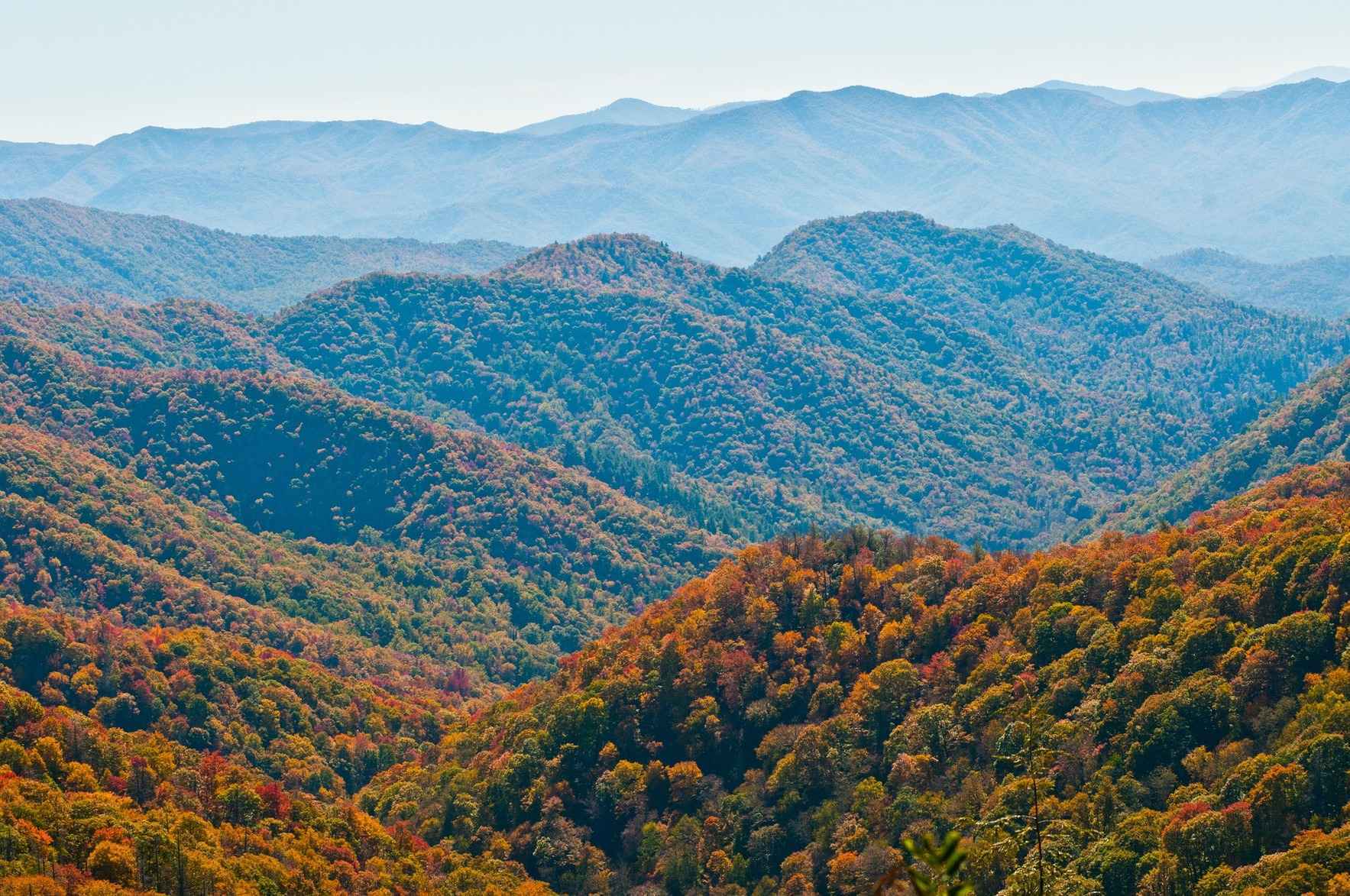 Donate to ACLC to support our fight for justice in the coalfields! image