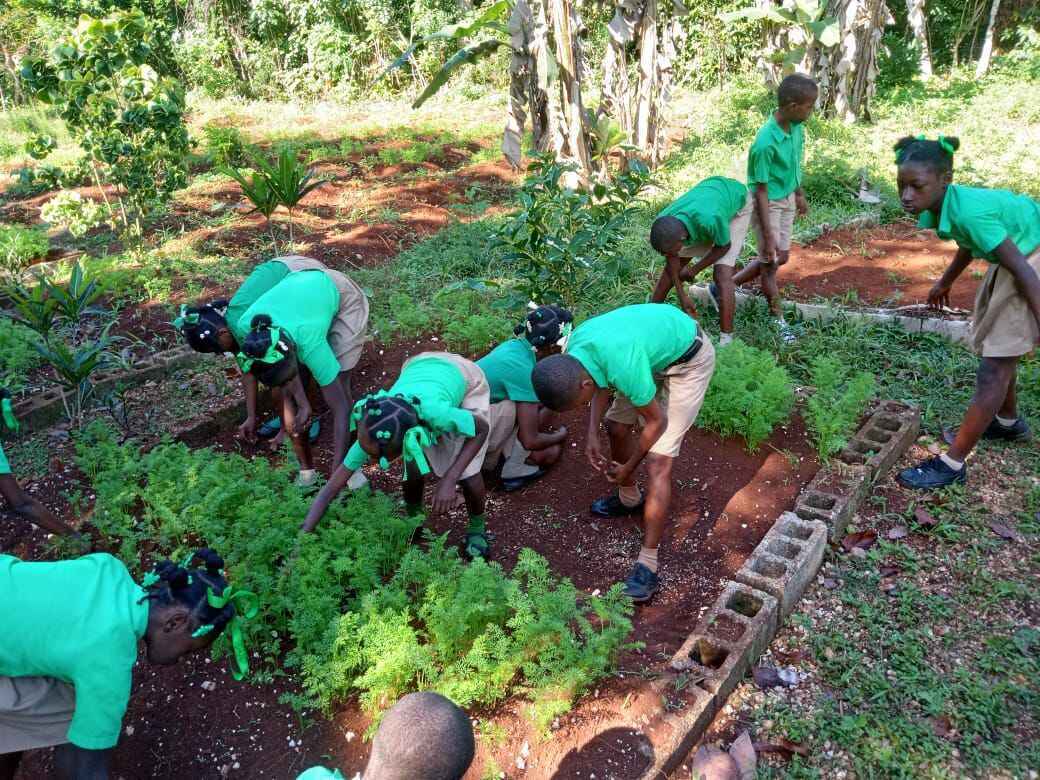 Become A Sponsor Today! image