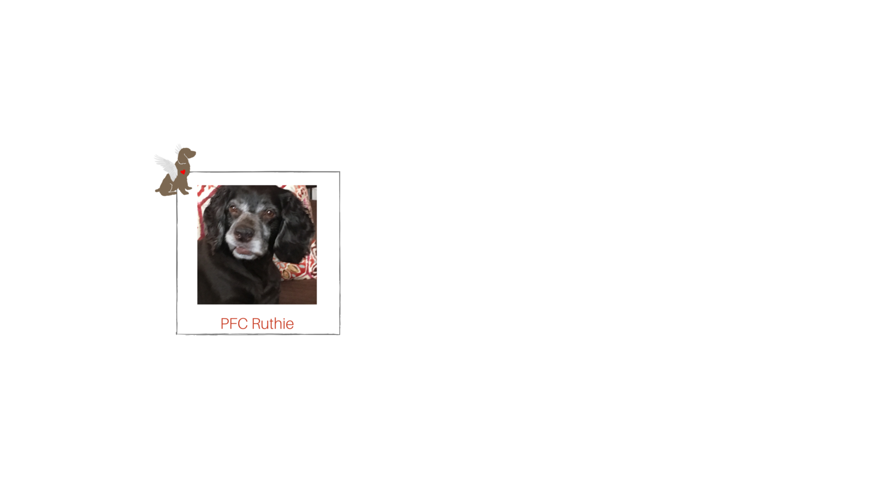 You can be Ruthie's Guardian Angel! Check Out Her Story Below! image