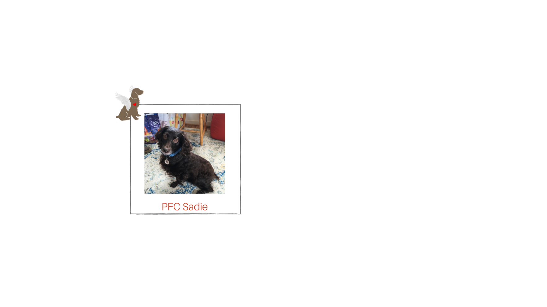 You can be Sadie's Guardian Angel! Check Out Her Story Below! image