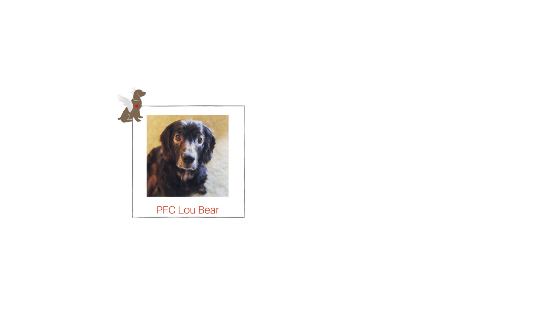 You can be Lou Bear's Guardian Angel! Check Out His Story Below! image