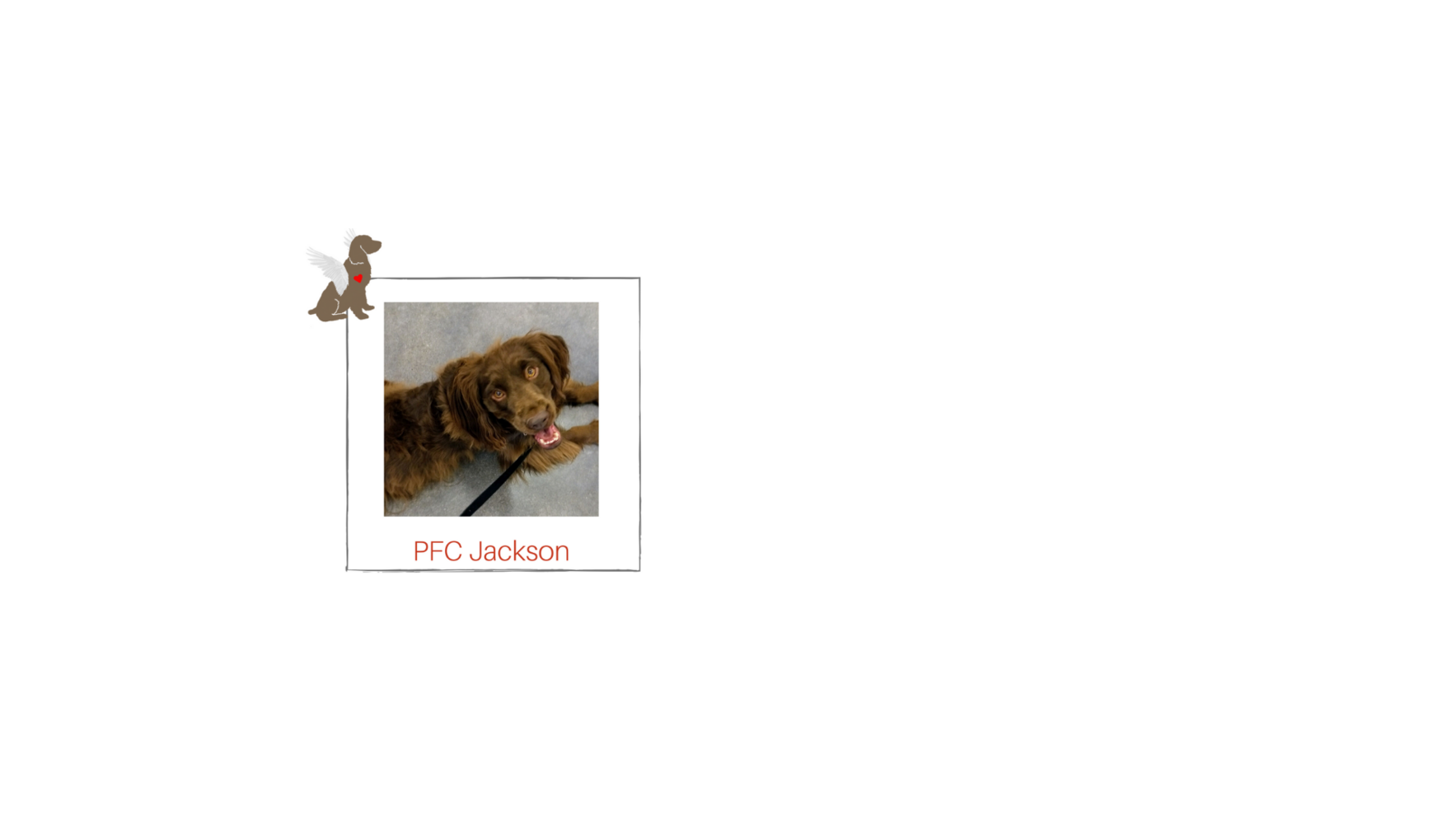 You can be Jackson's' Guardian Angel! Check Out His Story Below! image