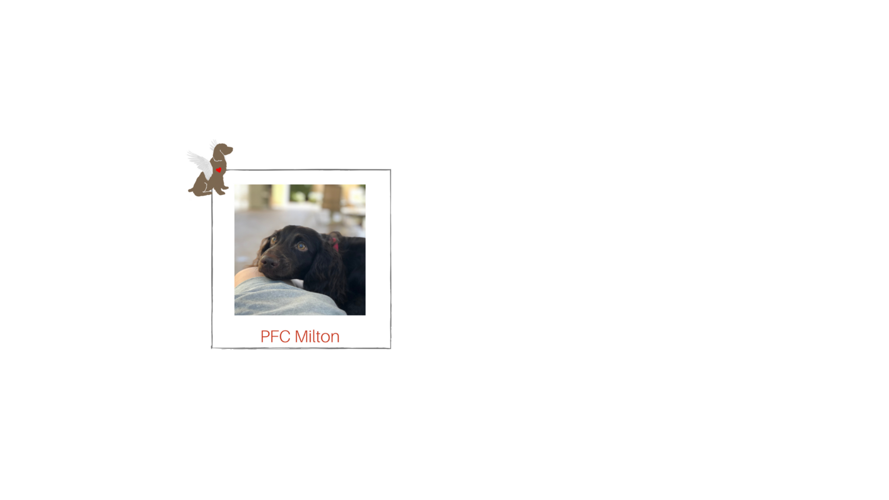 You can be Milton's Guardian Angel! Check Out His Story Below! image