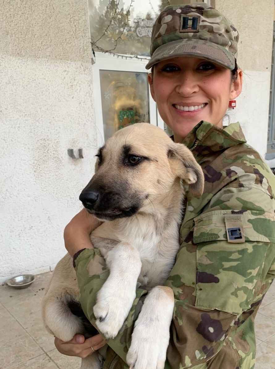War Torn Puppy Needs You! image