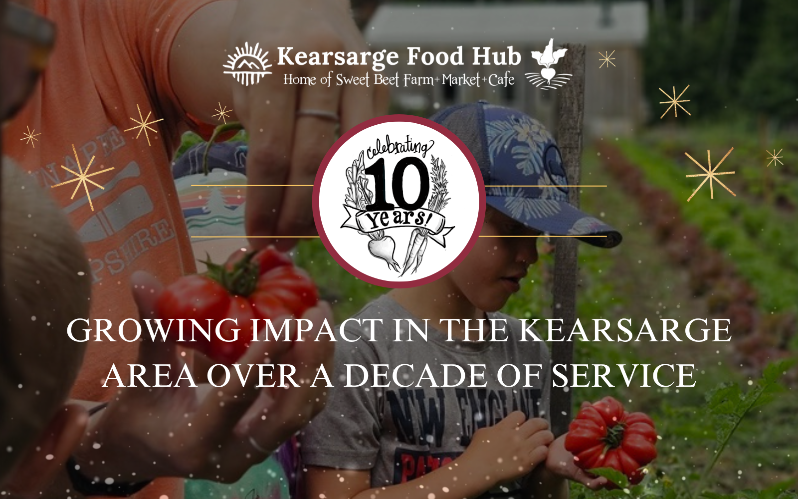 Invest in the Next 10 Years of Kearsarge Food Hub's Vital Community Services image