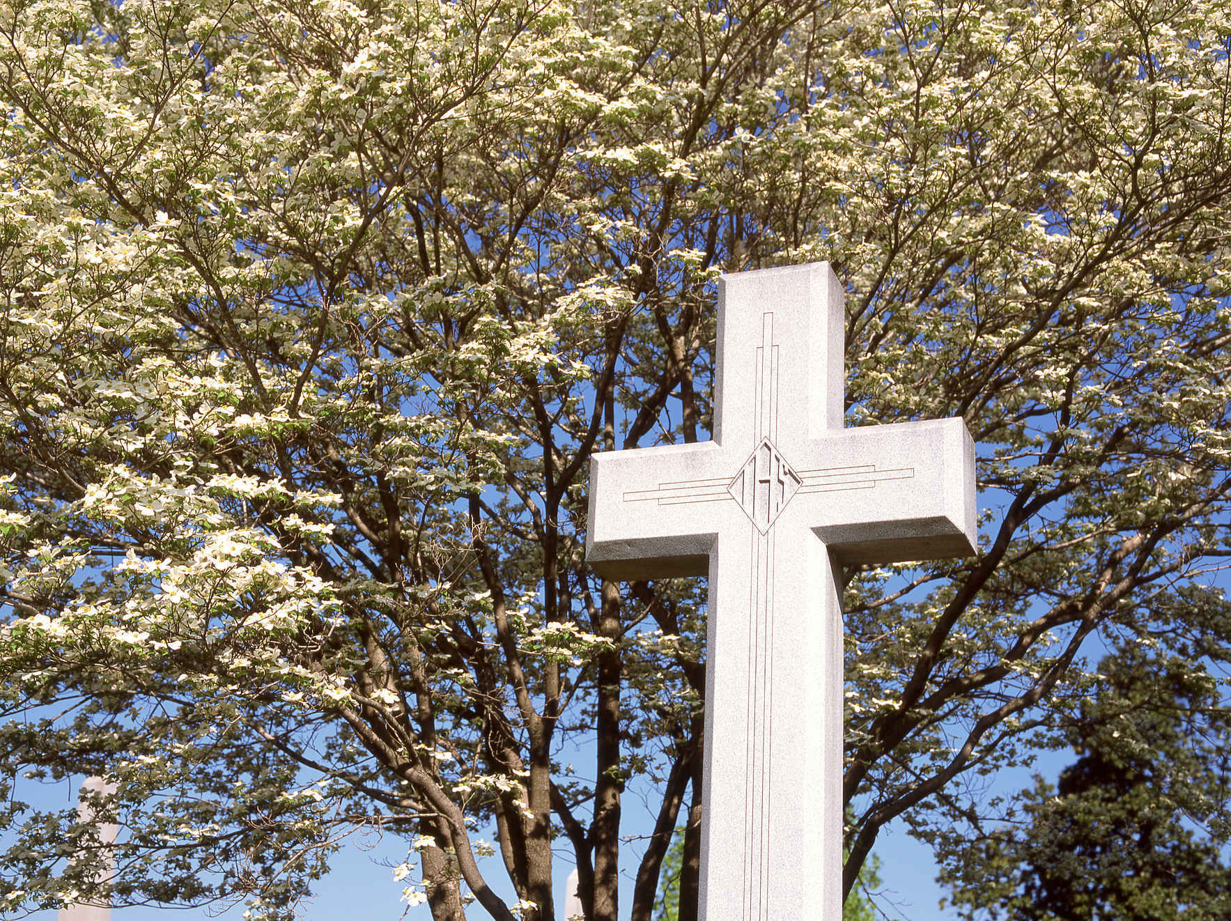Beautify the cemetery and buy a tree in memory or honor of your loved ones.  image