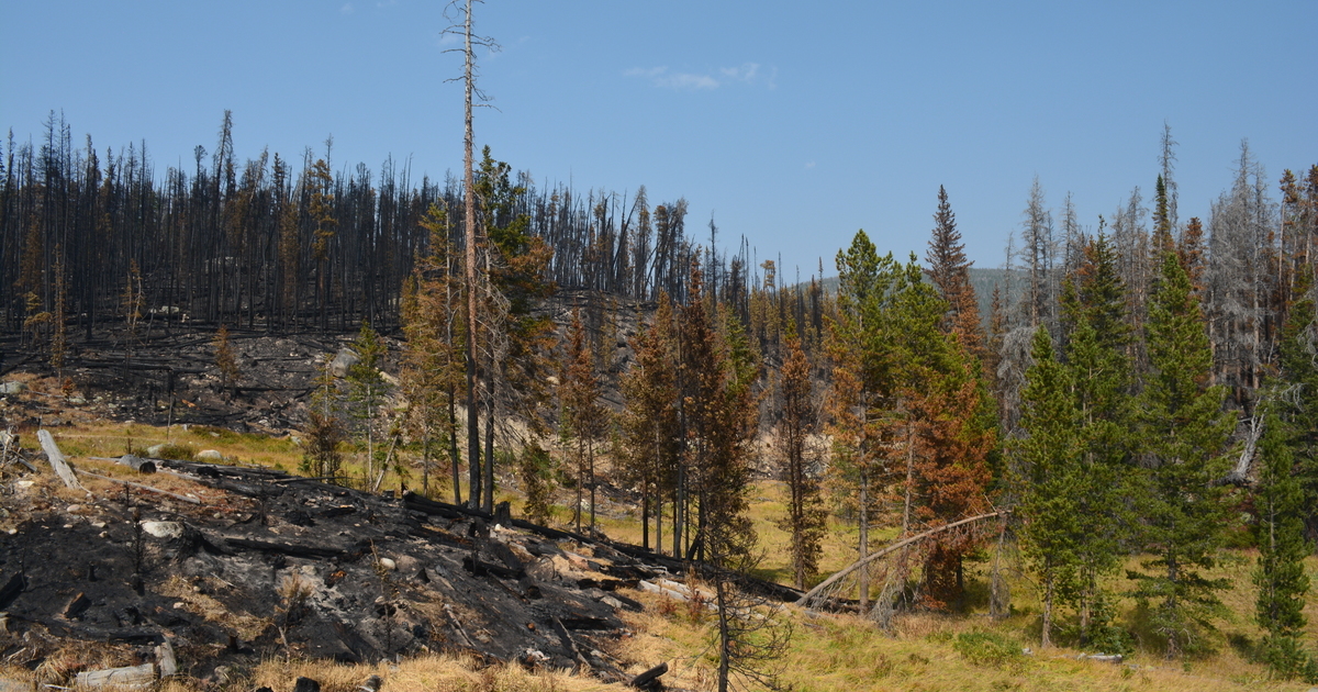COALITION FOR THE POUDRE RIVER WATERSHED - Help the Poudre Recover from ...