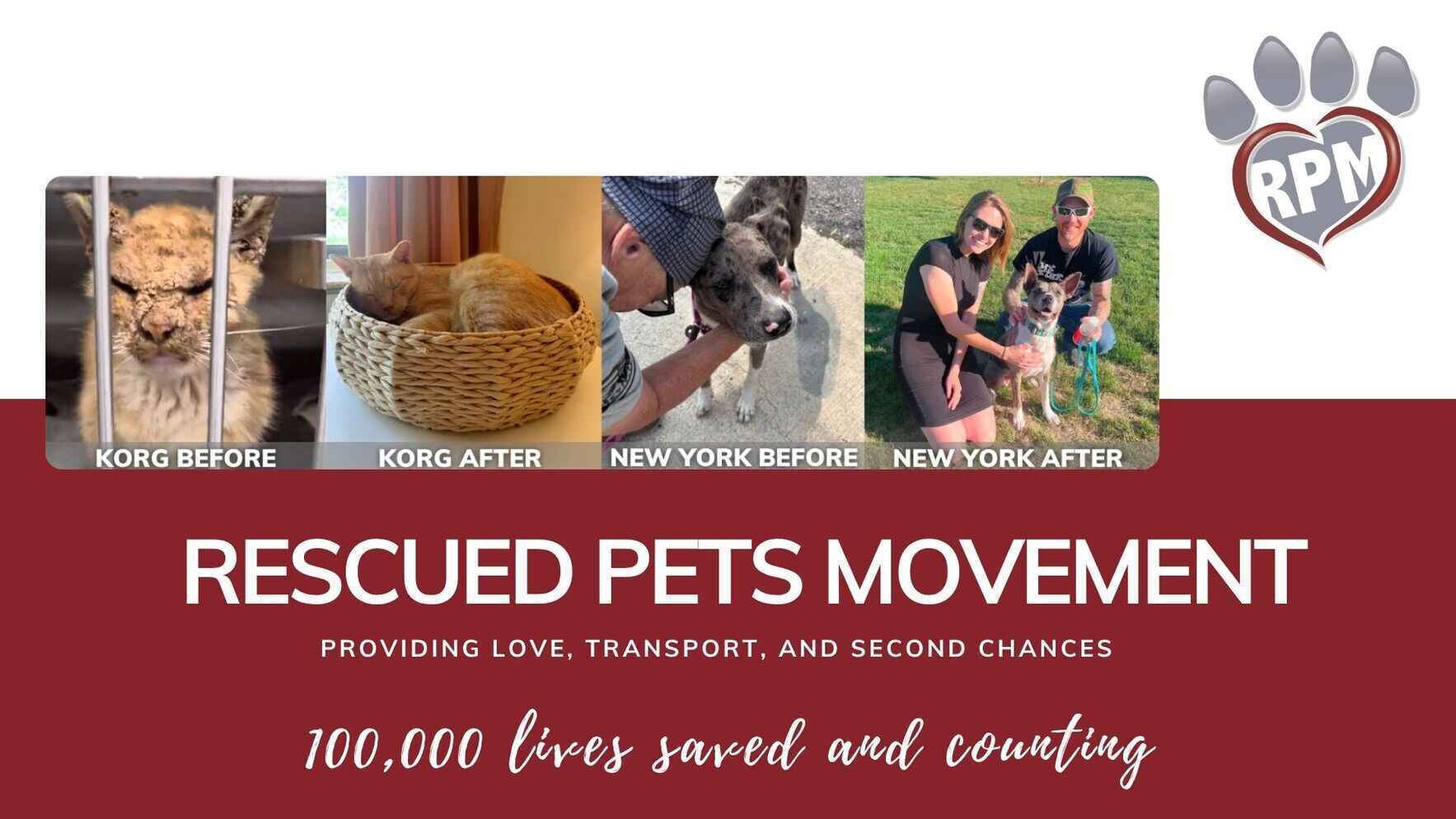 Give Them a Second Chance: Help Rescued Pets Movement Save Lives  image