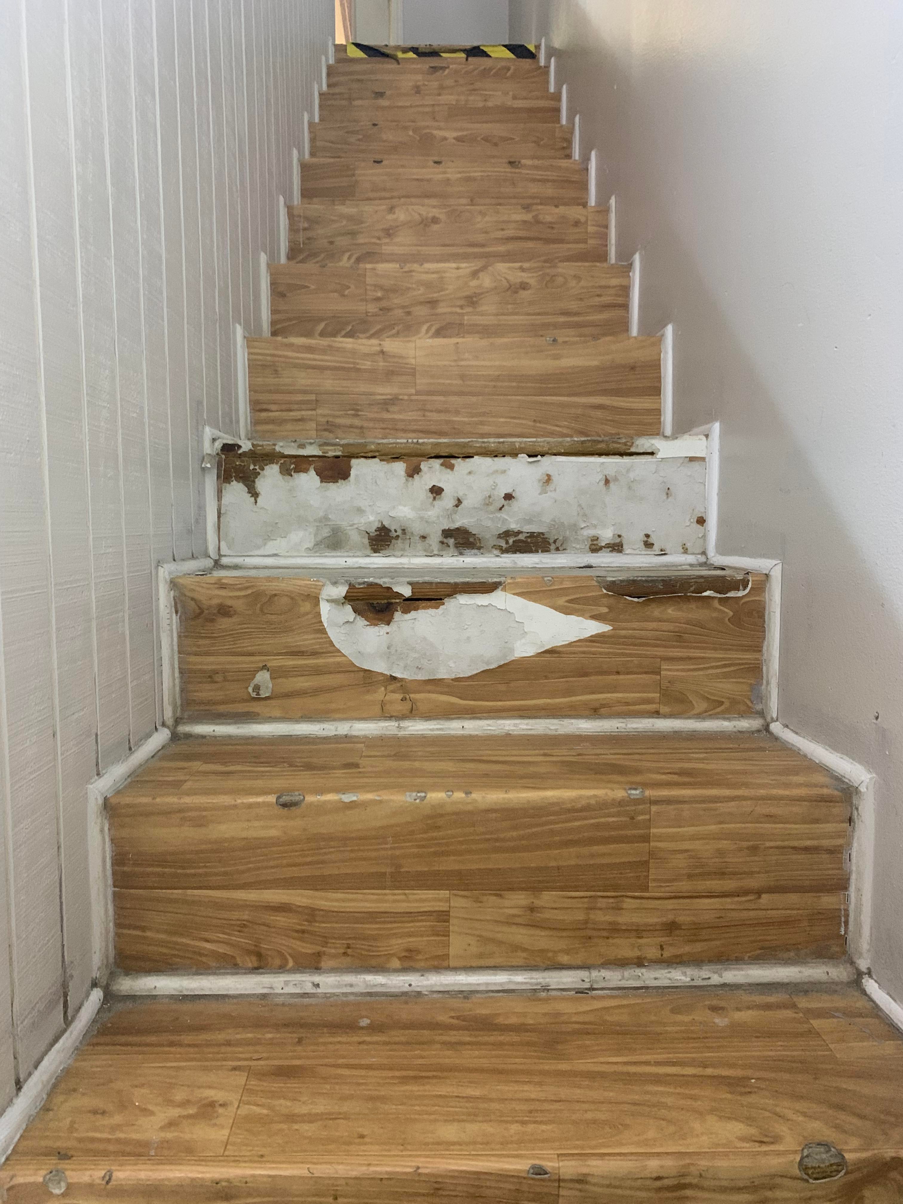 Save Our Cats and Kittens Inc 2023 DIY Upstairs Remodel