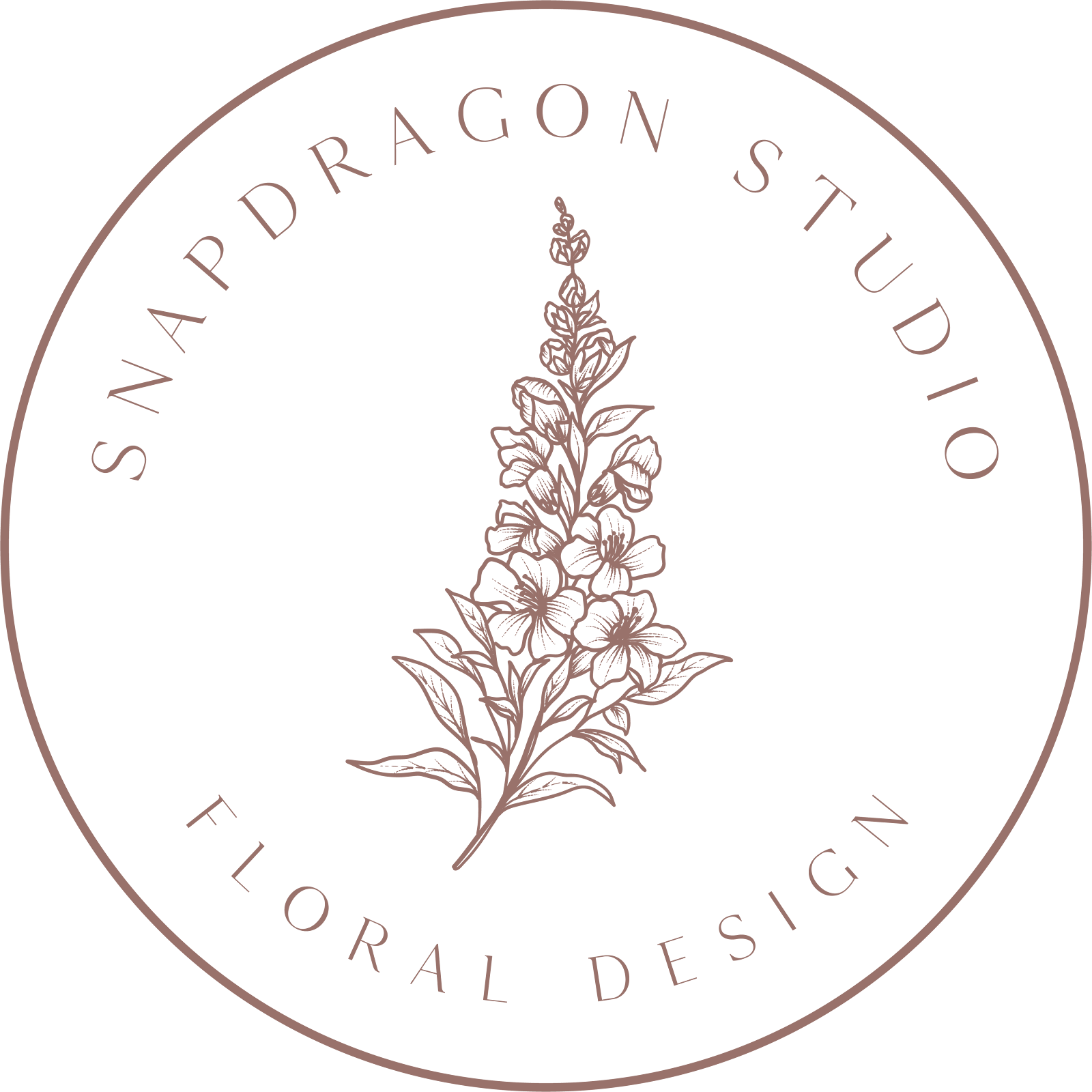 Snapdragon Studio