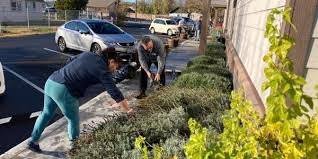 Marthas House Volunteers