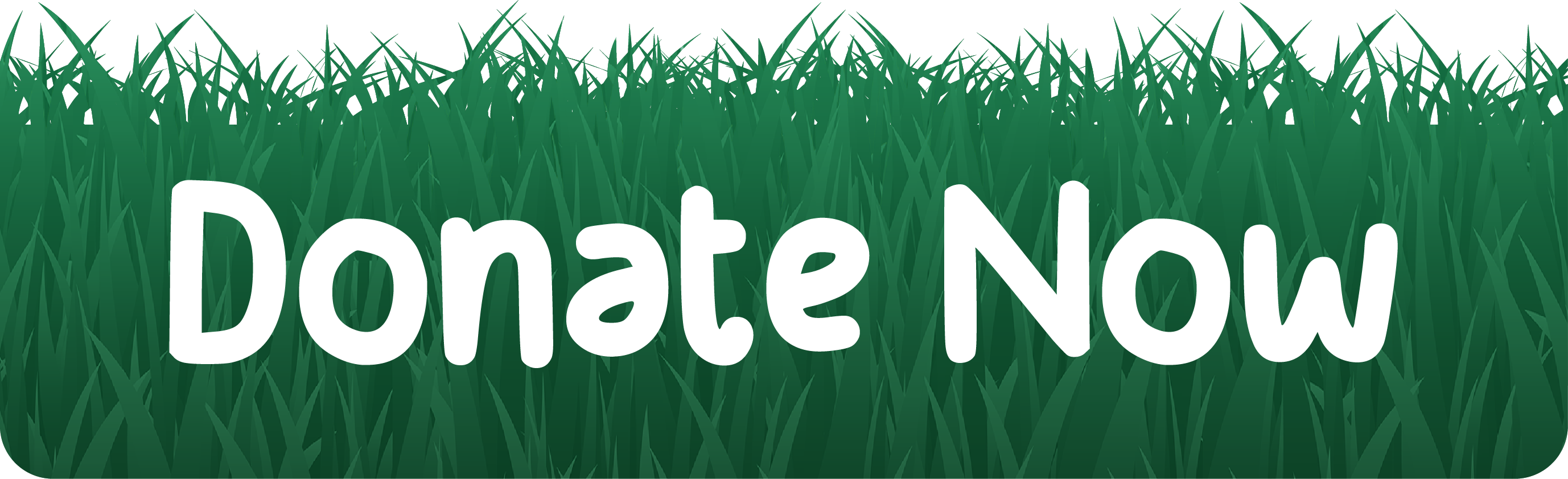 Donate Now